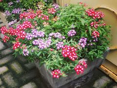 android_upload_pic-RGF(巨鹿路店)