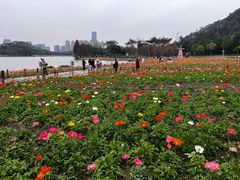 -顺峰山公园