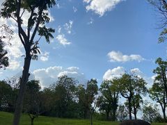 -牛岗山公园