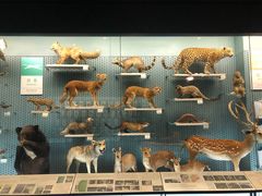 -浙江自然博物院(杭州馆)