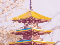 -东湖生态旅游风景区