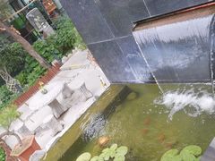 -蘇河湾·新鲁菜·泰山宴(泰山店)