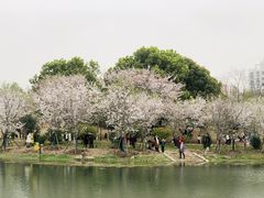 -堤角公园