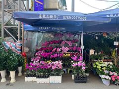 -细村农贸综合市场