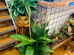 -Rabbit Cafe私房西餐甜点咖啡(栖霞路店)