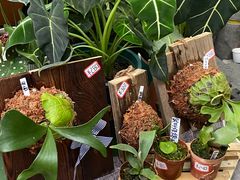 -一坐一忘云南菜(三里屯店)