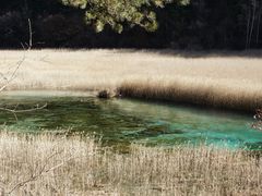 -九寨沟-树正沟