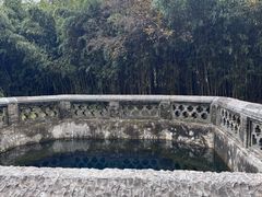-习家池