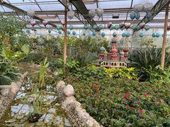 -南宫五洲植物乐园