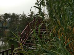 -燕郊植物园