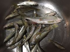 -碓臼峪自然风景区