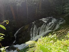 -莫里热带雨林景区