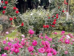 -人民公园(罗湖区)