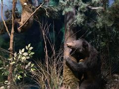 -陕西自然博物馆