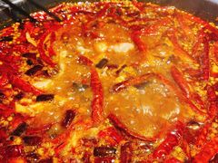 -销魂美蛙鱼头火锅(上海首店)
