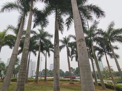 -南宁南湖公园