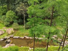 -云溪植物园