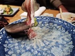 -桂马·日本料理·海胆·海鲜饭·酒场(民主广场店)