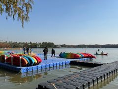 -上海海湾国家森林公园