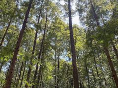 -同里国家湿地公园
