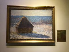 -印象莫奈时光映迹艺术展