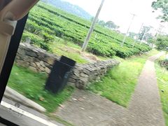 -美的鹭湖森林度假区