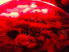 -萧邦音乐会所KTV(向西店)