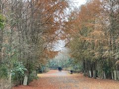 -上海海湾国家森林公园