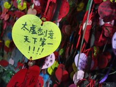 -一只酸奶牛(春熙路店)