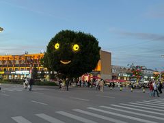 -特克斯八卦城