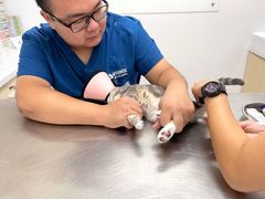 -爱诺耐芙动物医院(万博店)