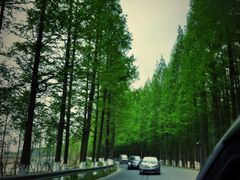 -南汇嘴观海公园