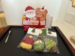 -爱丽宝月子中心