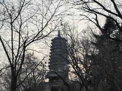 -高尔山公园