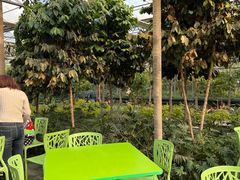 -南宫五洲植物乐园