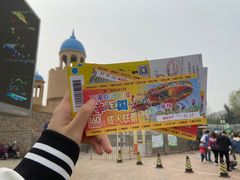 -辛玛王国游乐园