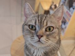 -平行世界·猫咖(首经贸店)