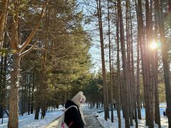 -北极村旅游风景区