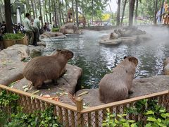 -北京野生动物园