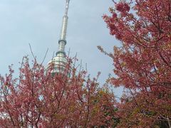 -龟山风景区-龟山电视塔
