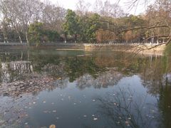 -武汉大学-樱园