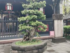 -成都武侯祠博物馆