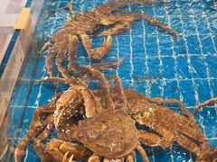 -新丁香海鲜酒店(银海商贸城店)