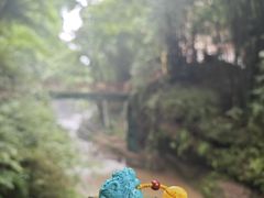 -川西竹海景区