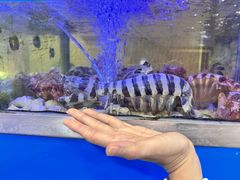 -富来美食(成发大厦店)