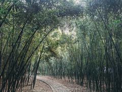-同里国家湿地公园