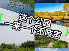 -东郊湿地公园
