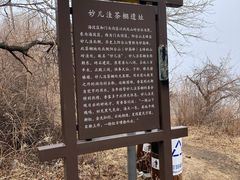 -阳台山自然风景区
