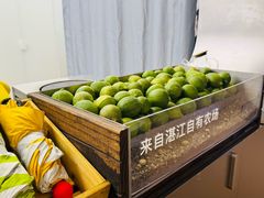 -introlemons(西单更新场·北京首店)