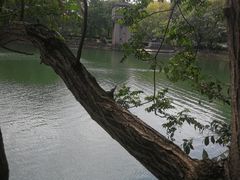 -紫霞湖公园